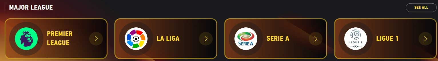 Fezbet Liga Mistrzów